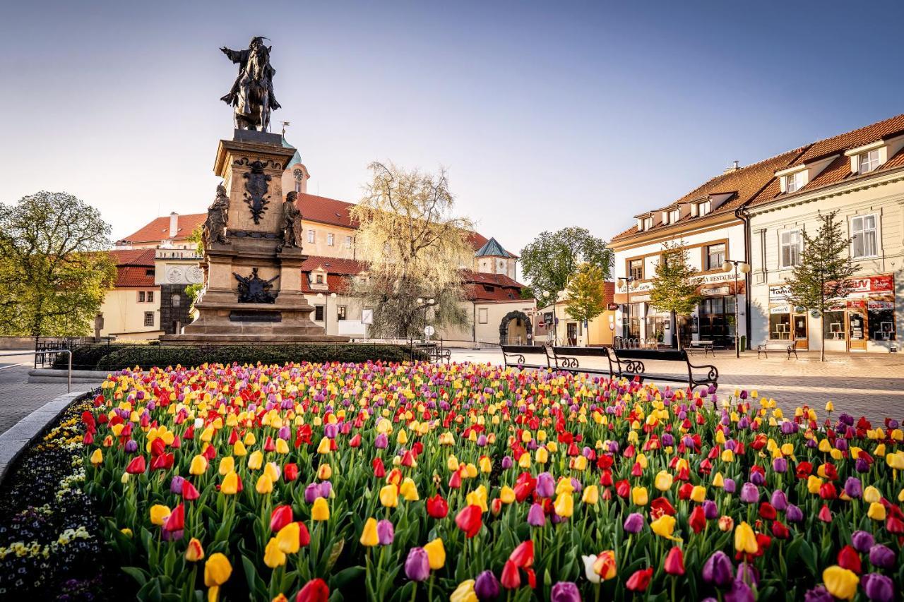 Hotel Bellevue Tlapak Poděbrady Esterno foto